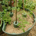 granulés paillis Botanic
