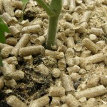 granulé paillis Botanic