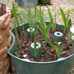 bac à fleurs